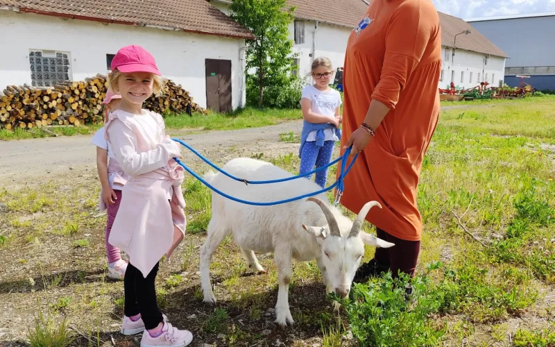 sluníčka