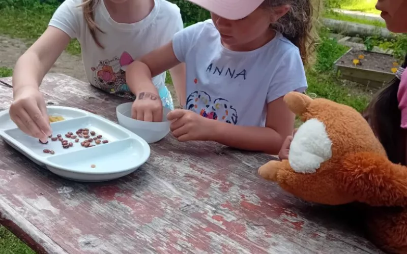 Botanická zahrada Bečov