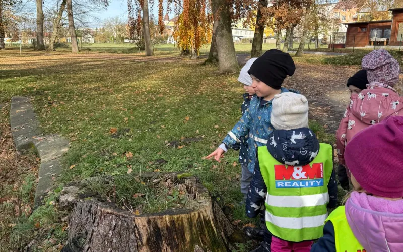 Listopad u Žabiček 