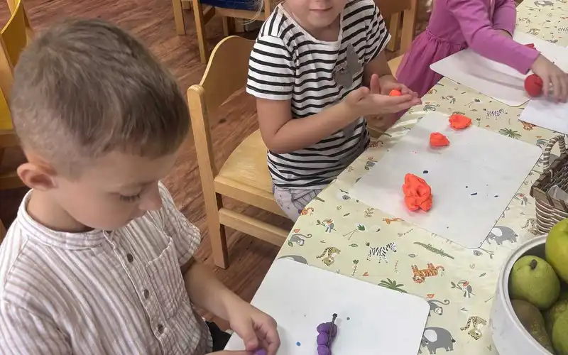 ovoce