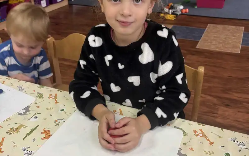ovoce