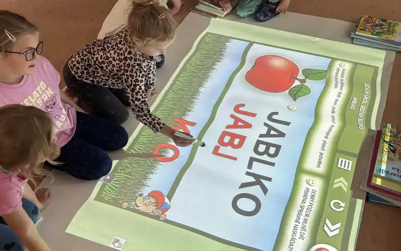 ovoce